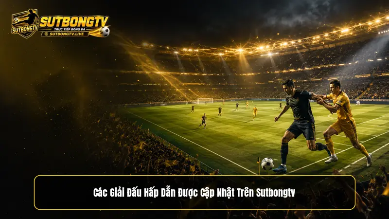 Các giải đấu hấp dẫn được cập nhật trên Sutbongtv